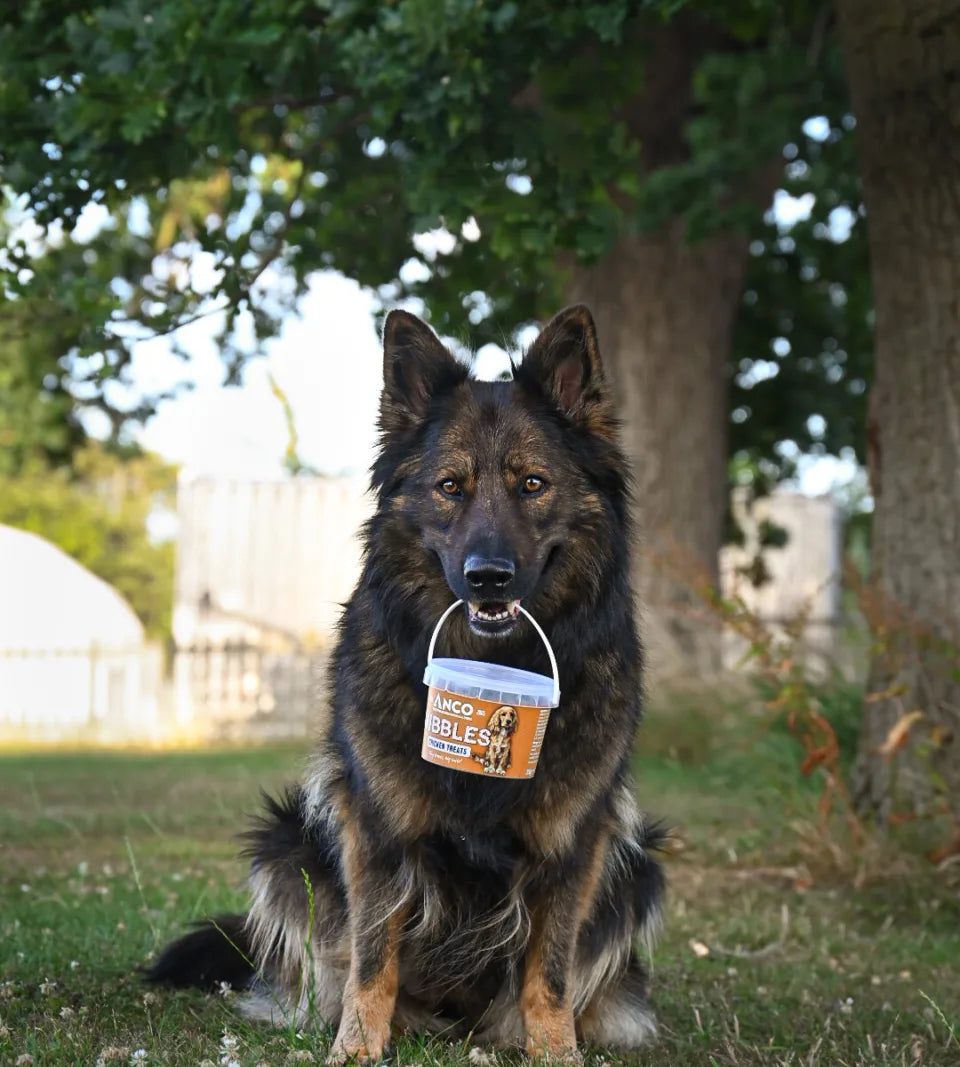 Nibbles Anco Nibbles Chicken Treats 300g