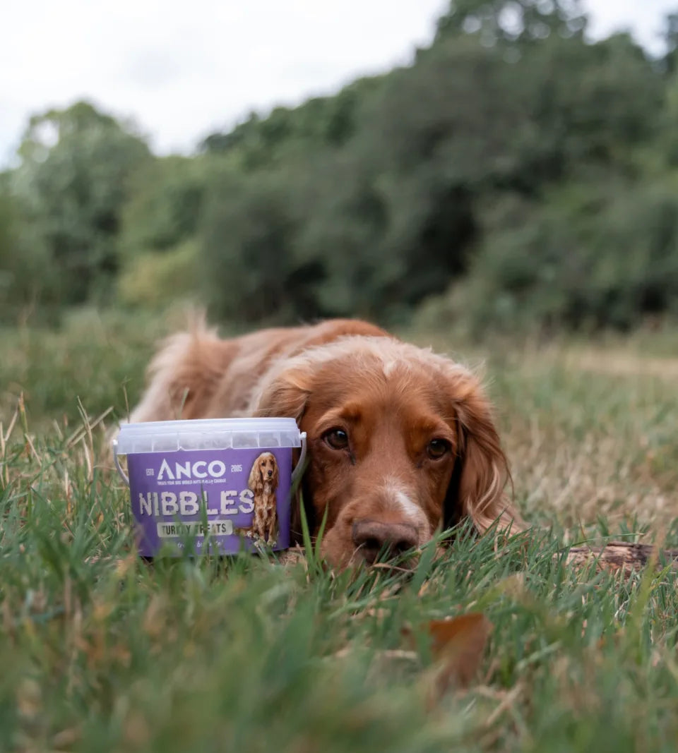 Nibbles Anco Nibbles Turkey Treats 300g