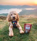 Fusions Anco Fusions Beef & Rabbit 100g