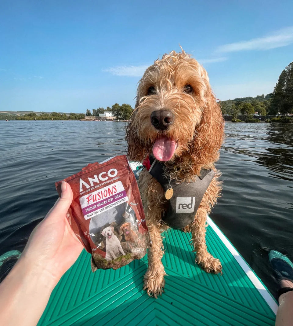 Fusions Anco Fusions Beef & Venison 100g