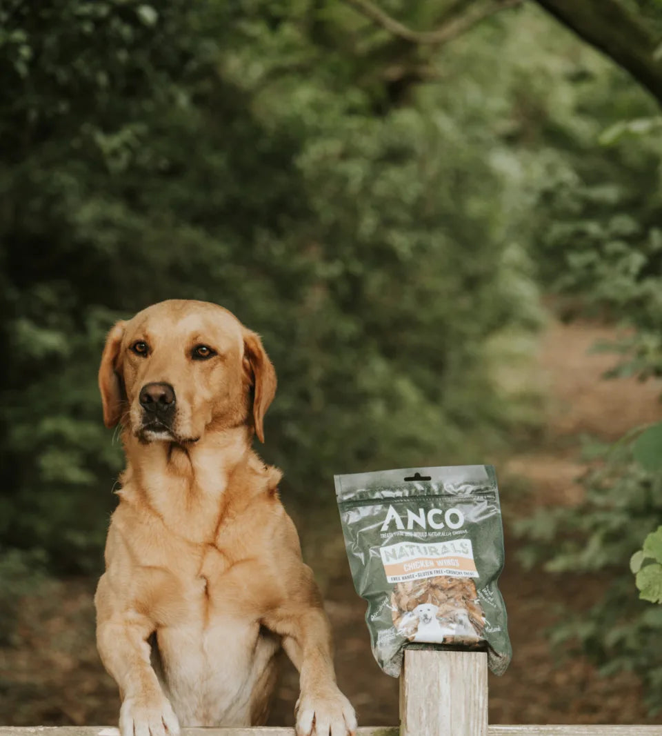 Anco Naturals Chicken Wings 200g