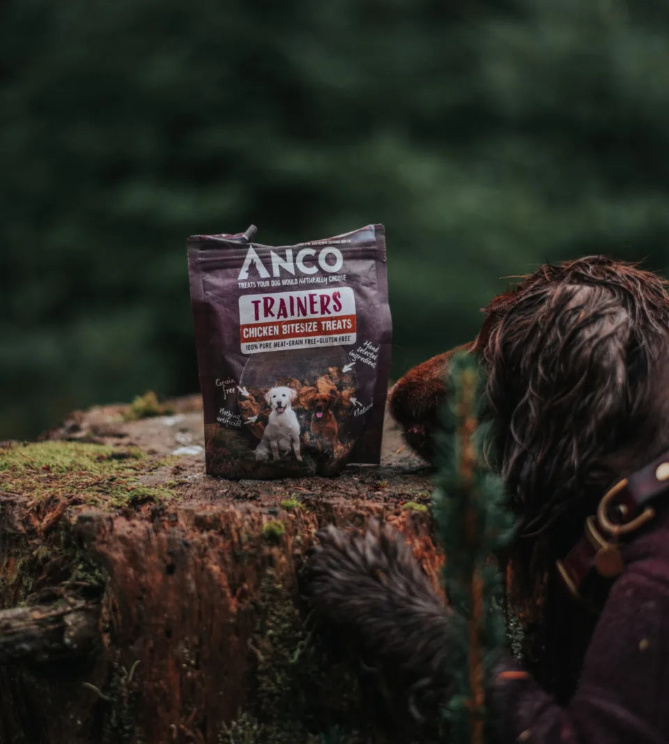 Trainers Anco Trainers Chicken 65g