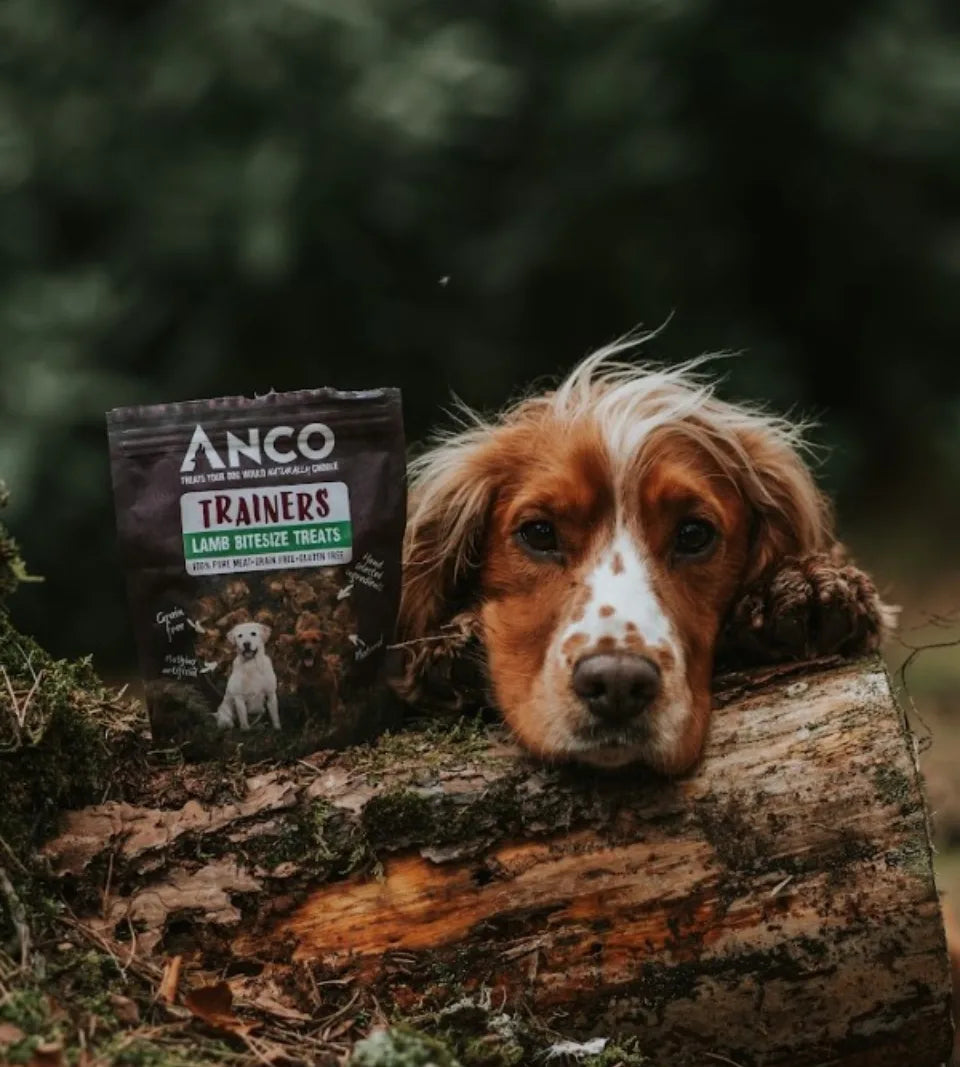 Trainers Anco Trainers Lamb 65g